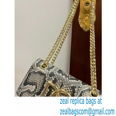 Dolce  &  Gabbana Calfskin 3.5 Chain phone bag Python Print